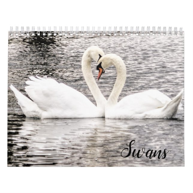 Svanar i Spring Grove  Kalender (Omslag)