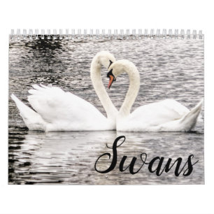 Svanar i Vår Grove Kalender