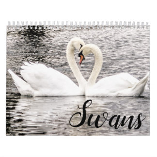 Svanar i Vår Grove Kalender