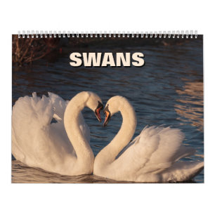Svanar Kalender