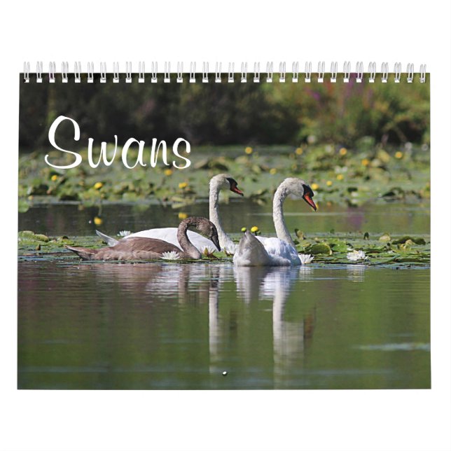Svanar Kalender (Omslag)