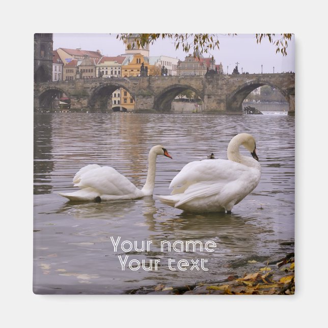 Svanar och Charles bridge i Prag Magnet (Framsidan)