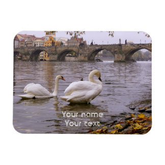 Svanar och Charles bridge i Prag Magnet