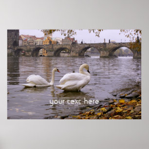Svanar och Charles bridge i Prag Poster