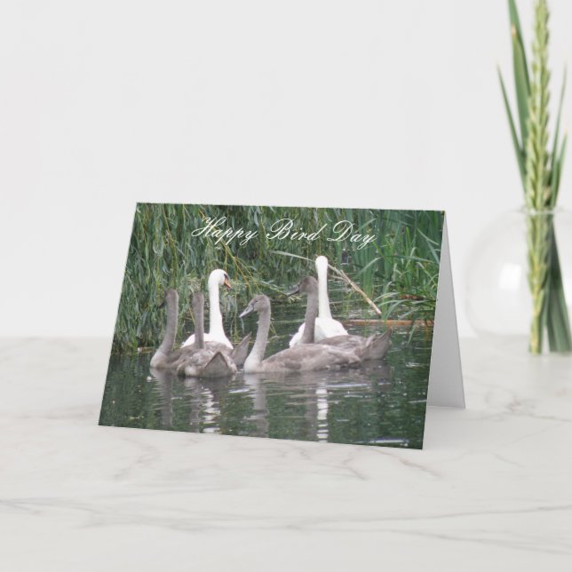 Svanar och Cygnet-Anpassningsbarna födelsedagskort Kort (Framsida)