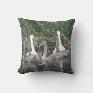 Svanar och Cygnet Pillow Kudde