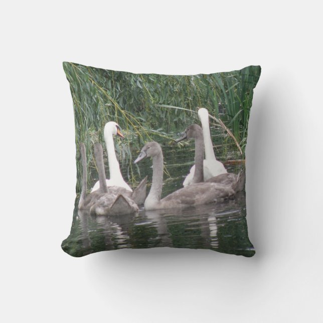 Svanar och Cygnet Pillow Kudde (Framsida)