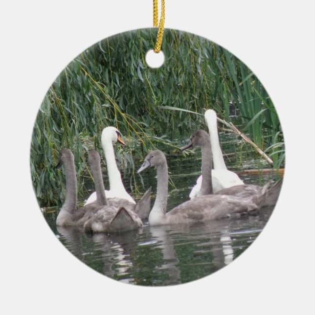 Svanar och Cygnets prydnadsföremål Julgransprydnad Keramik (Framsidan)