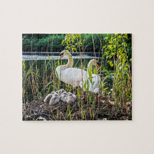 Svanar och Cygnets Pussel (Horisontell)