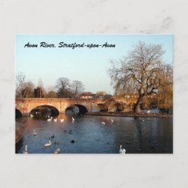 Svanar på Avon-floden, Stratford-upon-Avon Vykort