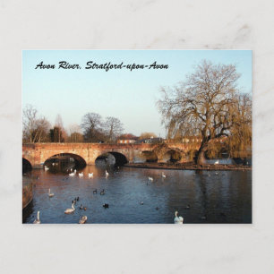 Svanar på Avon-floden, Stratford-upon-Avon Vykort