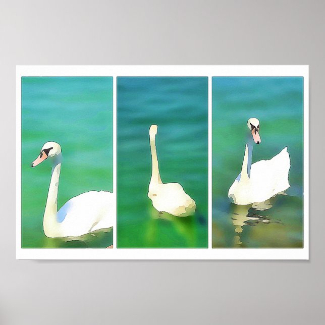 Svanar på Balaton-Sjö-triptych Poster (Framsidan)