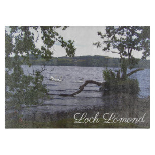 Svanar på Loch Lomond