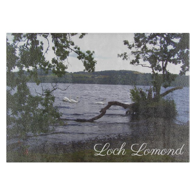 Svanar på Loch Lomond (Framsidan)