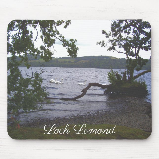 Svanar på Loch Lomond Musmatta (Framsidan)