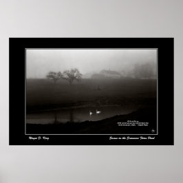 Svanar på Scamman Farm Pond-Poster - w/Dikt Poster