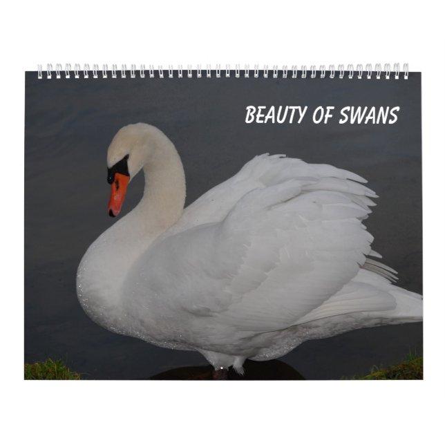 Svanar skönhet kalender (Omslag)