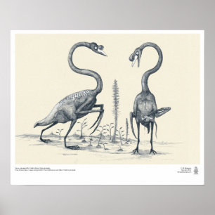 Svanar som föreställt av framtida Palaeontologists Poster