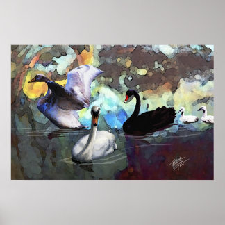 Svanar Swimming Poster