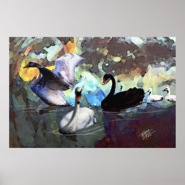 Svanar Swimming Poster (Framsidan)