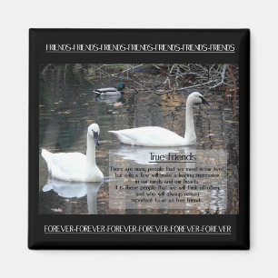 Svanar-True Friends Magnet