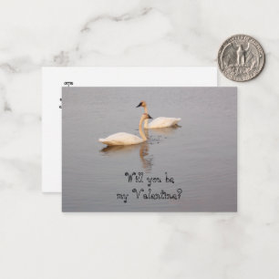 Svanar Valentine Cards Anteckningskort