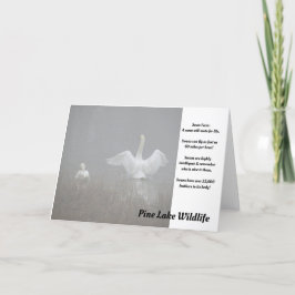 Svanar vid Gräs Sjö Kort