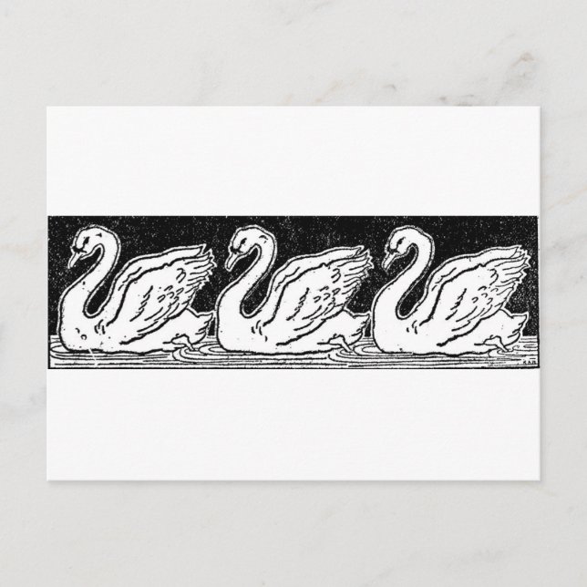 Svanar Vykort (Framsida)