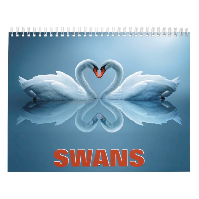Svanar Wall Calendar Kalender (Omslag)