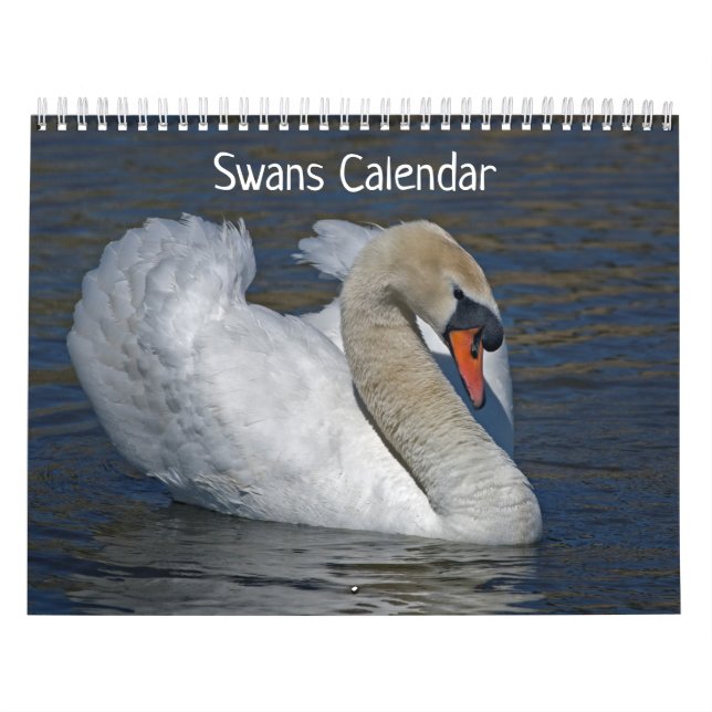Svanars kalender (Omslag)