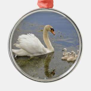 Svanfamilj Julgransprydnad Metall