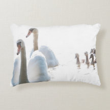 Svanfamilj Naturfotografering