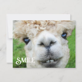 Sväng Alpaca Llama Funny Farm Animal Smile Vykort