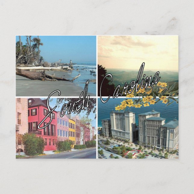 Sväng Ansikte, vacker Ställe Vykort (Framsida)