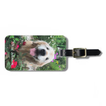 Sväng Golden Retriever Hund bland blommor