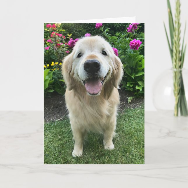Sväng Golden Retriever med Flowers Tack Kort (Framsida)