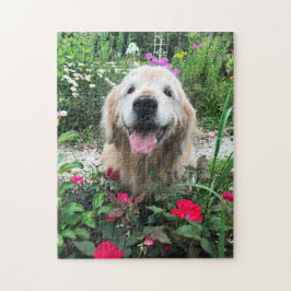 Sväng Hund för Golden Retriever bland rödblommor Pussel