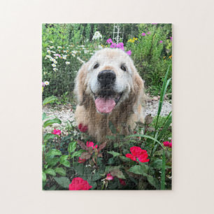 Sväng Hund för Golden Retriever bland rödblommor Pussel