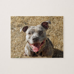 Sväng Pitbull Puzzle Pussel