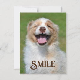 Sväng Puppy Hund Funny Animal Smile-vykort Vykort