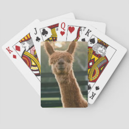 Svänga alpaca-spelkort casinokort
