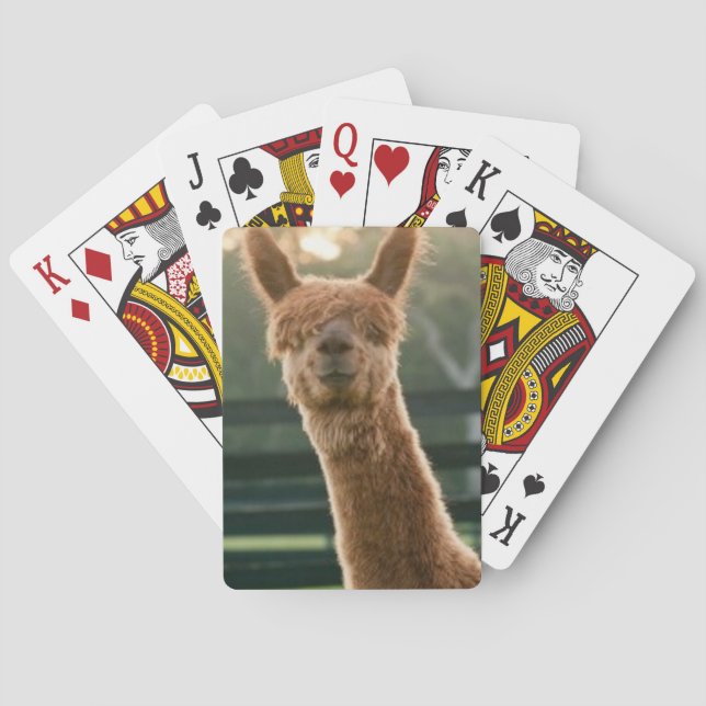 Svänga alpaca-spelkort casinokort (Baksidan)