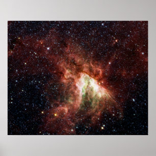 SvanNebulaaffisch Poster