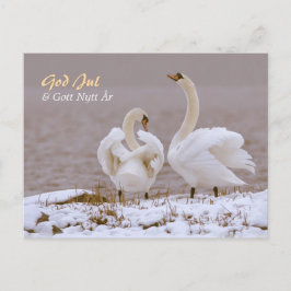 Svanpar i nysnö CC0804 Julning häls Vykort