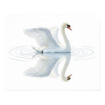 Svanreflektion