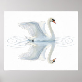 Svanreflektion Poster