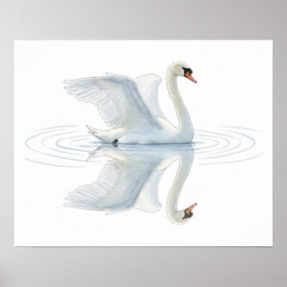 Svanreflektion Poster