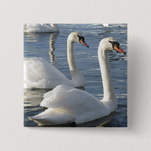 Svanreflexioner klämmer fast knapp