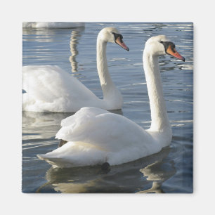 Svanreflexionsmagnet Magnet
