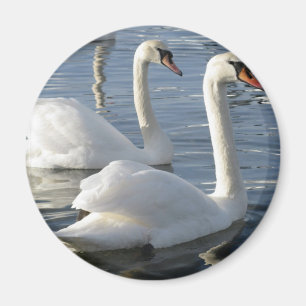 Svanreflexionsmagnet Magnet